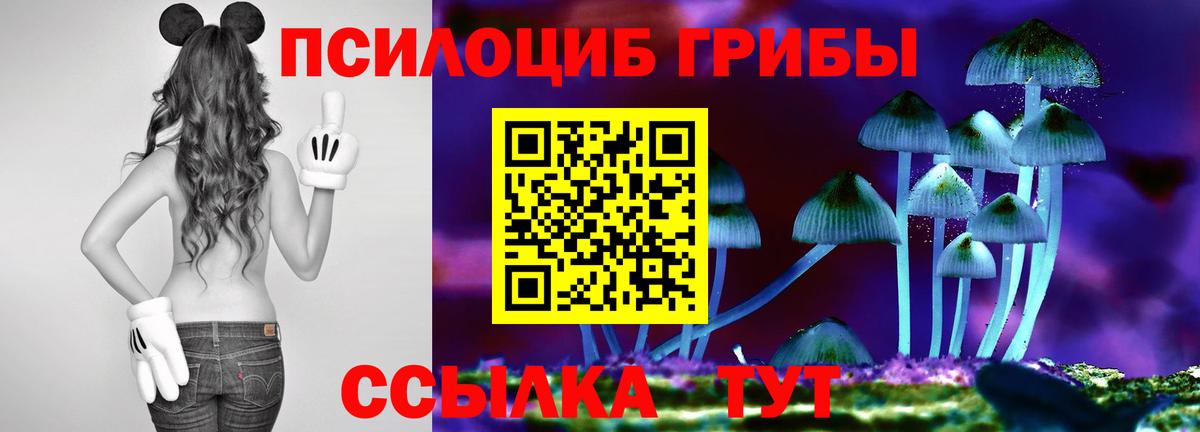 Киров  Псилоцибиновые грибы Psilocybe  Псилоцибиновые грибы Cubensis  Вход с VPN 